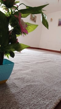 سجادة • ٤×٧ • مستعمل ٤ شهور