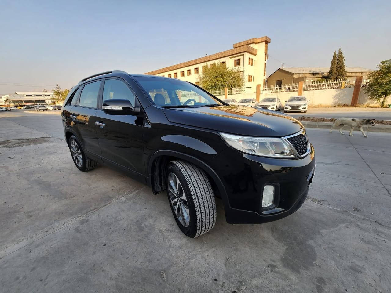 سورنتو 2015 خليجيه مكفوله السعر 17.500
***********
***********
