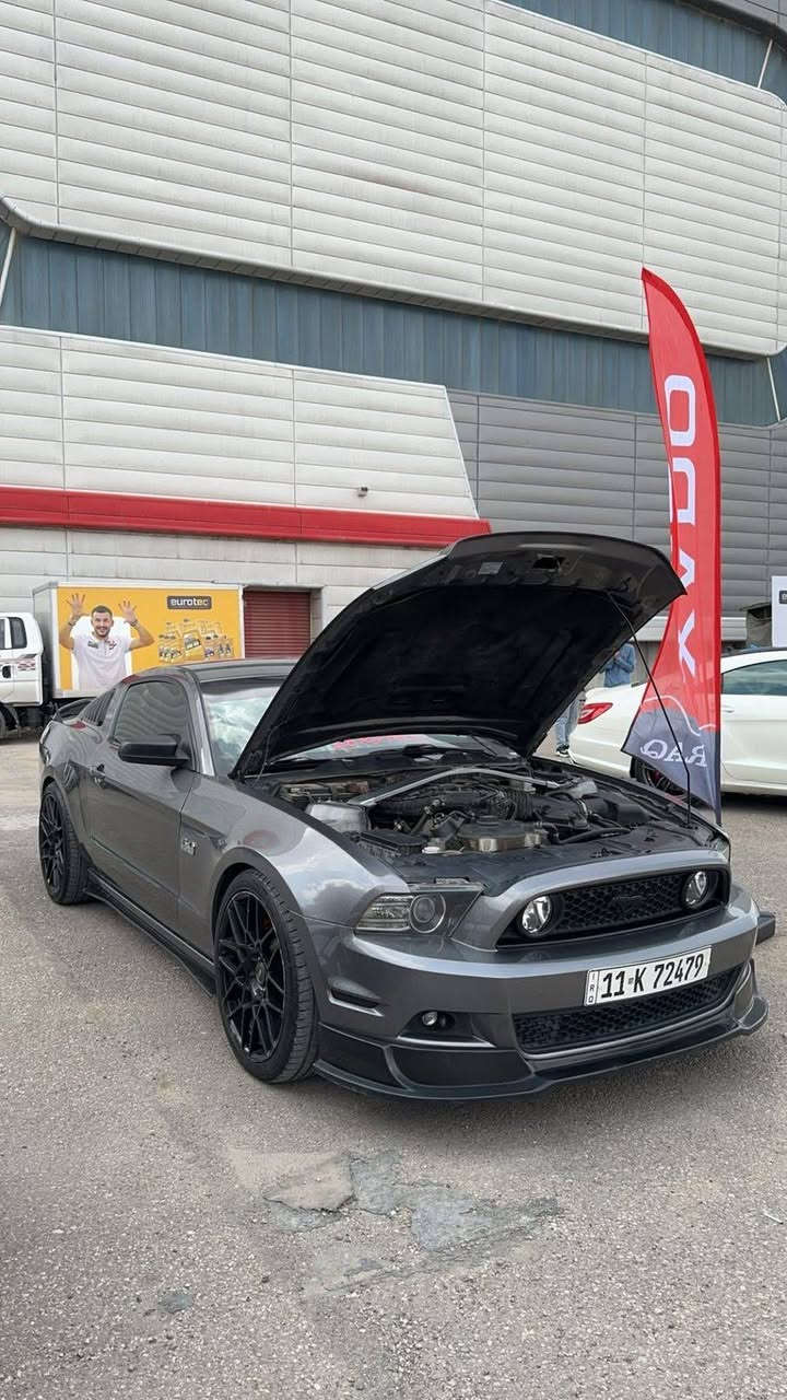 السلام عليكم
موستنك 14 v6 للبيع او للمراوس فقط بسيارة 4 ابواب 🩶

حادثها جاملغات اماميه من امريكا طعج بس بجم كبس بدون شواصي بدون لغود !صور الحادث ب منشور

واهنا صار بيها صبغ رش جماليه 5 قطع فقط بدون حادث ولا معجون اعتبرها حزام

البنيد والقماره والصندوك مابيهم شي

كير ومحرك واكسل مكفول

الاضافات :

داون بايب

اكس بايب

دبات فورتك  صوت رعيد تحكم ريمونت شغل علي الوادي

اكسل جيتي

شباك جيتي

لحيه rtr

جناح شيلبي

دفيوزر شيلبي

ويل svt الاصلي400$

فجوج برمبو

مسطره rtr مغلفه فورجد كاربون

لدات متغير الوان داخلي وخارجي تحكم ب تلفون

زرع عدسات + عيون الشيطان يم اسرار الاسدي

ماشيه 97mi 🩶

من اقوى السيارات بموديلها برمجه الضرغام
‭0776 373 2747‬ 
مكاني بغداد حي الجهاد
