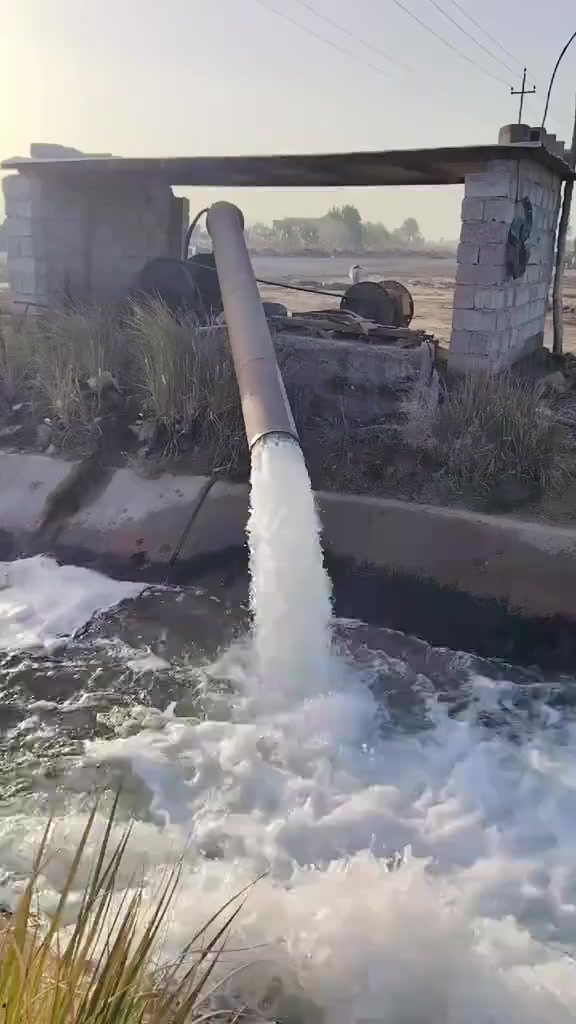 14 دوانم للبيع على المشروع الاراضي مباشرتا
العنوان تاجي ذراع دجله تباع دونم فما فوق 
صايره على شارع 10 مترات وواجهية الدونم 
الواحد 40×60 مربع منطقة امان وتكدر تعيش برفاهيه
وترفيه سعر الدونم الواحد 30 مليون وبيه مجال جنس الارض طابو
سند 25 فتح بيان بسم المشتري اي تواصل او استفسار
على رقمي متوفر بي واتساب *********** 🌴🌳عندي السعر من 8مليون الدونم الواحد وبيه مجال لحد 70مليون الدونم الواحد وبيه مجال كلش وسعر هوخدماته هاي الصفحه مالتي مال الكاع دوانم صوره وصوت فيديو مال ابو حوراء الا ستثمارالعقاري عله التكتوك عيني عمو راسلني خاص تمام
