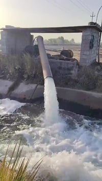 14 دوانم للبيع على المشروع الاراضي مباشرتا العنوان تاجي ذراع دجله تباع...