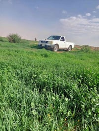 نيسان تك مكفول سعر ٦٥ ٠٧٨٣٨٤١١٣٠٠