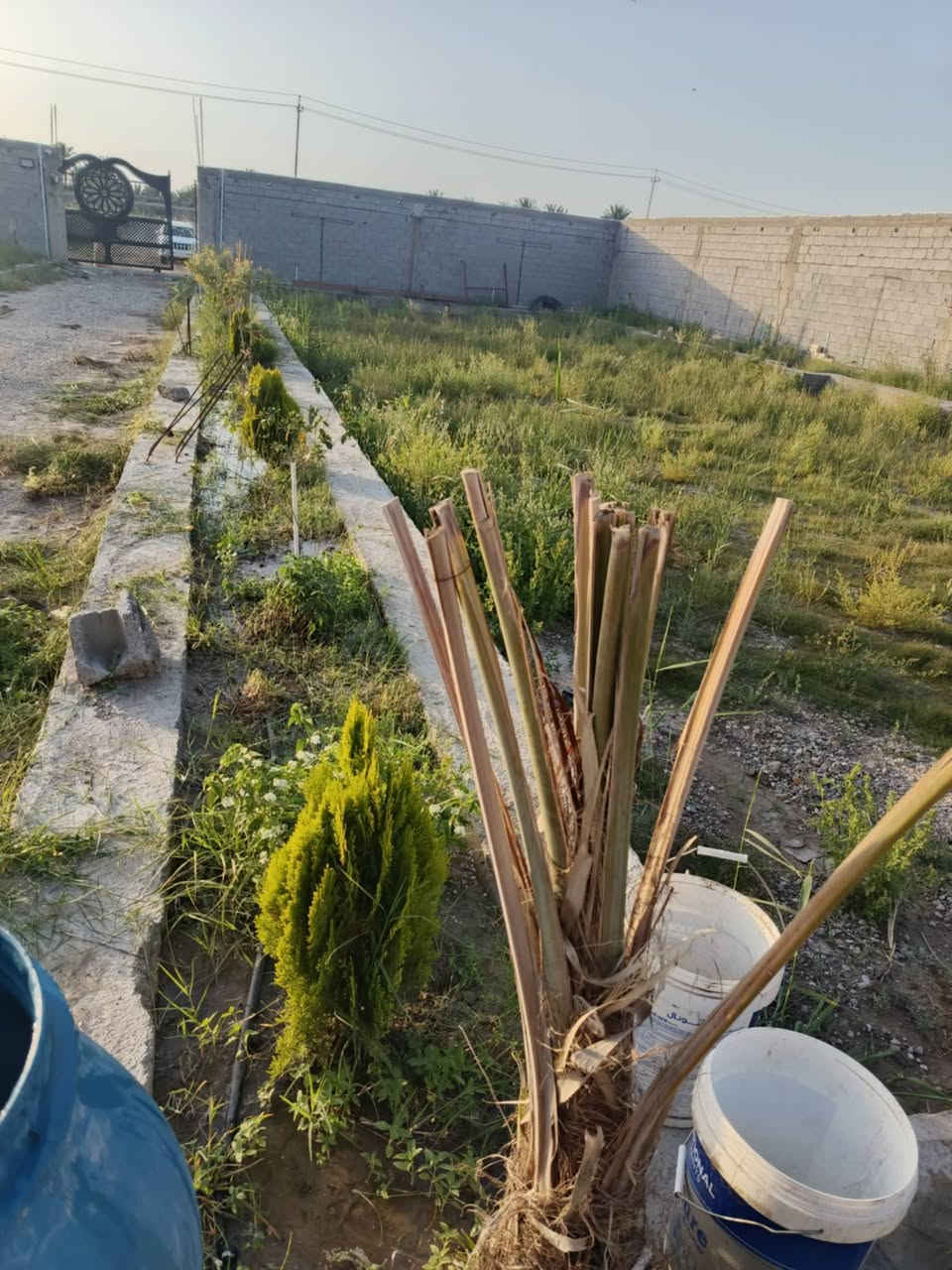 بيع دونم طابو 25 دار هيكل 400متر  #***********
