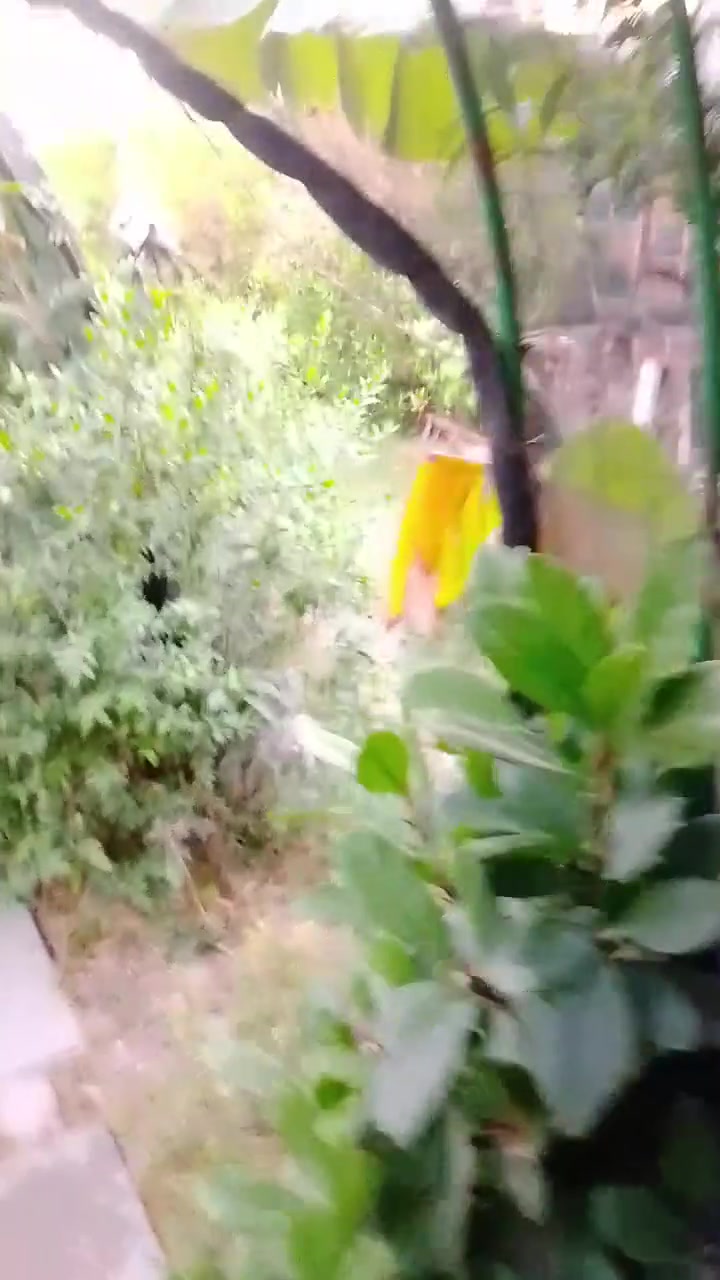 سلام عليكم للبيع مزرعه ***********
