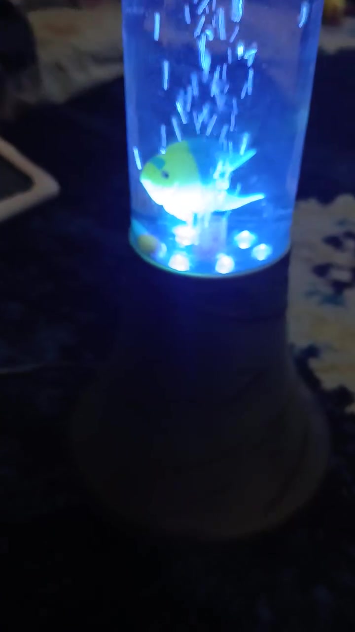 للبيع حوض اسماك اصطناعي


**إذا كنت صاحب هذا الإعلان وتريد حذفه لأي سبب، رجاءا أرسل رسالة إلى الدعم الفني**