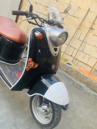 مامفتوح • فحل • معدل تخبل