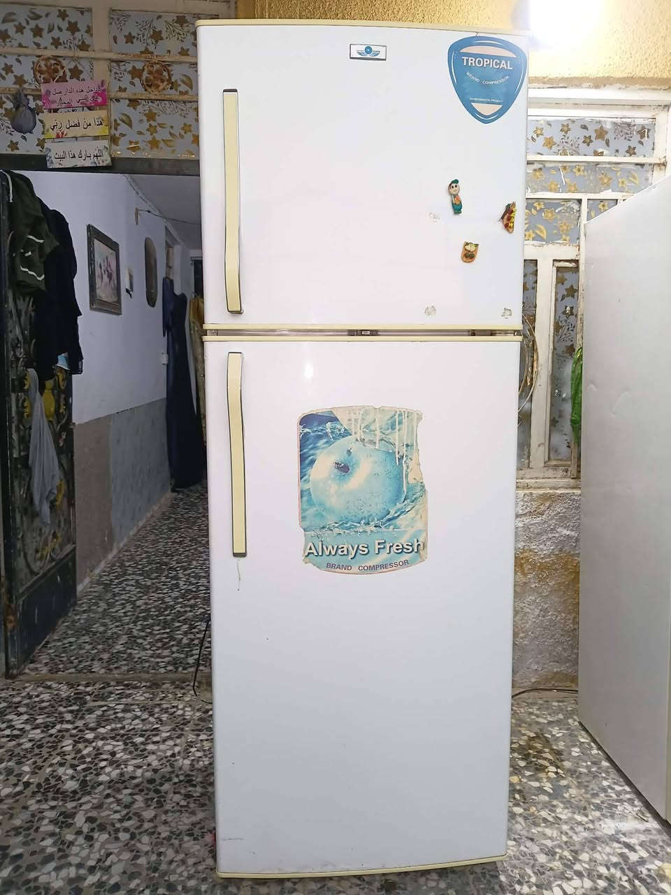 غارض بيت نضيفهه كلش سعار مناسبه الشراي يسحب الصوره يتفضل خاص توصيل بغداد فقط المحافضات الحد يدخل بغداد فقط فحص امام المنوب ذا مه يعجبكم عادي يرجع السعار بيها مجال


**إذا كنت صاحب هذا الإعلان وتريد حذفه لأي سبب، رجاءا أرسل رسالة إلى الدعم الفني**