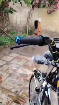 ايراني • كبير • كفالة عامه