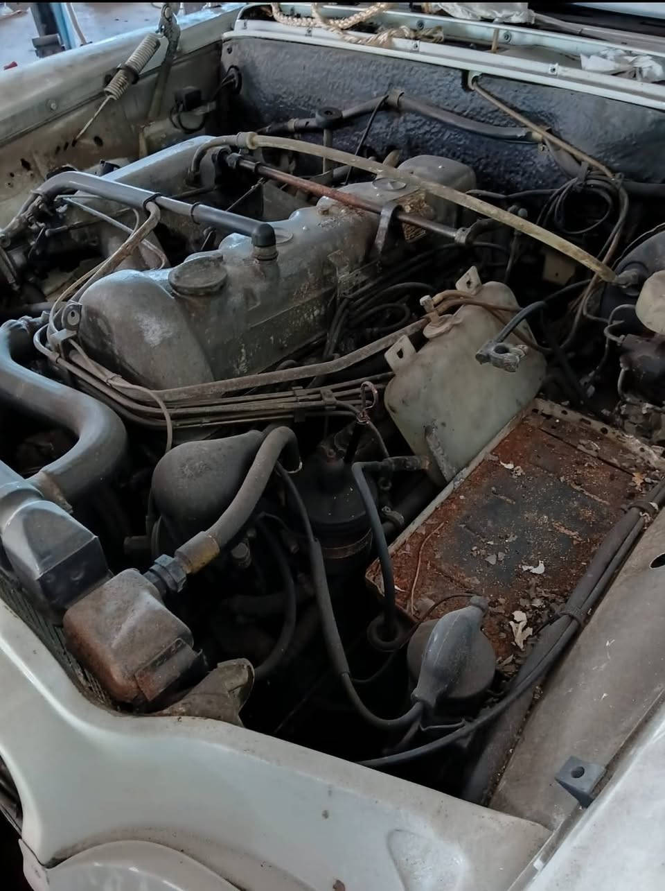 MERCEDES 280
موديل 1968 
تباع فقط ادوات .موجودة حاليا بالمانيا
كير اوتوماتيك محرك 4 سلندر بانزين (شغال تمام الكير والمحرك) 
اغراضها كاملة بدون نقص 
سعرها واصل للعراق مفصخة (7 الف دولار - 70 ورقة)


**إذا كنت صاحب هذا الإعلان وتريد حذفه لأي سبب، رجاءا أرسل رسالة إلى الدعم الفني**