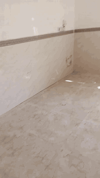 سلام عليكم ورحمه الله وبركاته يوجد تصليح التشققات في الجدران الداخلية والخارجية في  مواد البناء والمواد المتصلبه والجكن واير والشيش ضمان الجوده في العمل وضمن التجربه الاتصال على الرقم التالي ***********ابو محسن العيساوي
