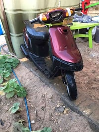 بطة • شوتة • كربلاء