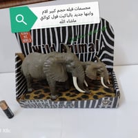 هالجمال • جديد • بالباكيت