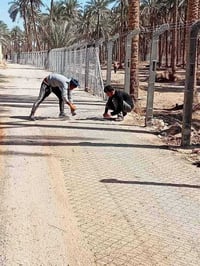 الكرار • اسيجه BRC • سياج عشبي