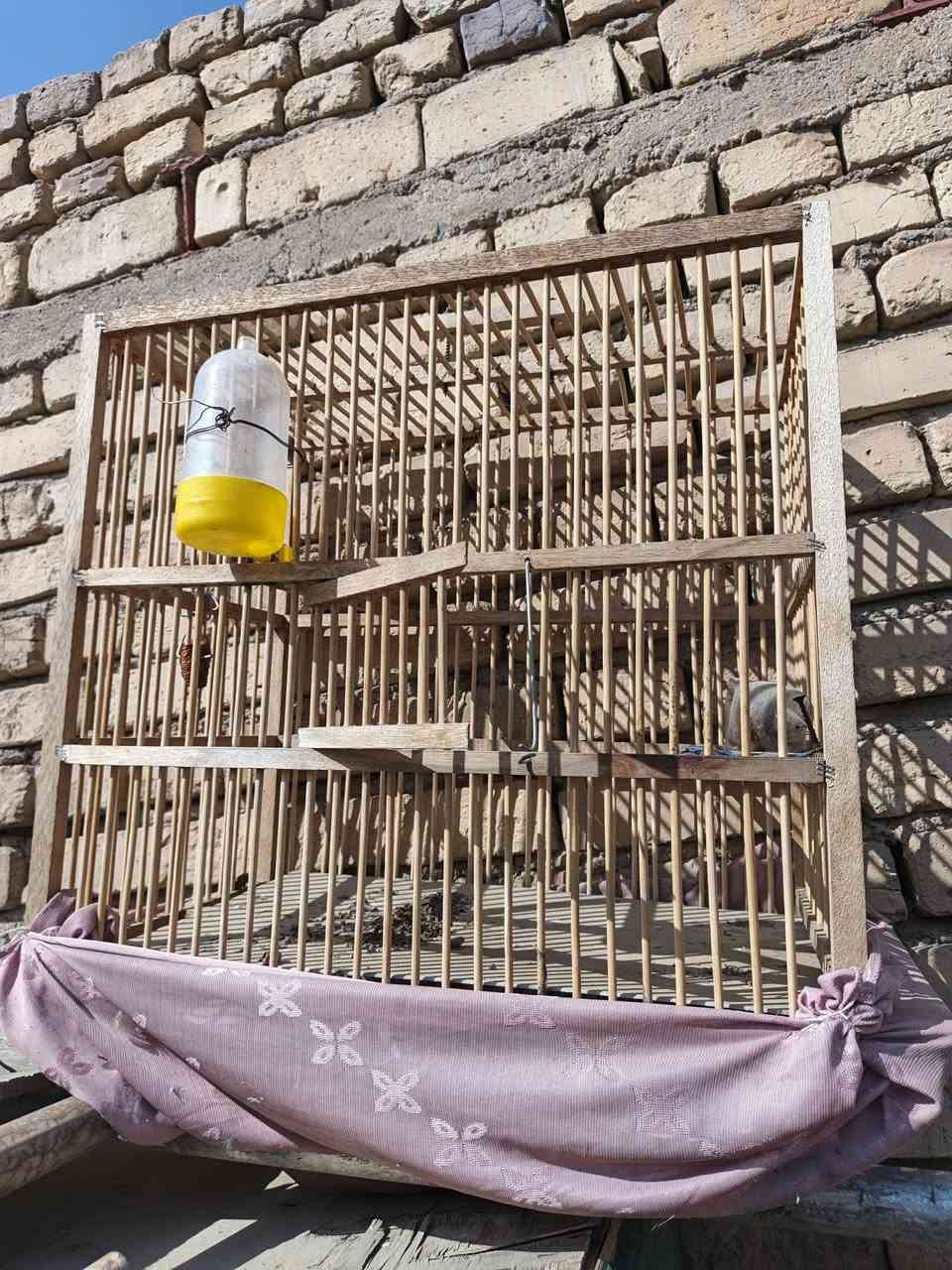 اغراض للبيع


**إذا كنت صاحب هذا الإعلان وتريد حذفه لأي سبب، رجاءا أرسل رسالة إلى الدعم الفني**