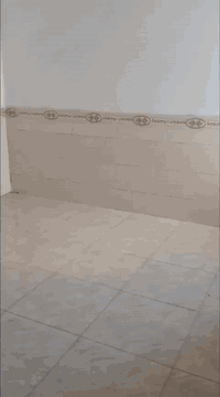 دار للايجار بهرز حي الشرطة نهاية السايدين بالزراعي ثاني فرع على ايدك اليسار أول بيت ***********
