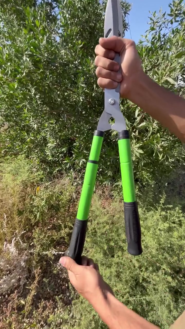 مقص الأشجار التلسكوبي ذراع متغير الطول رفيقك لتنسيق الحدائق بكل سهولة

الاستخدامات:

مثالي لقص وتشذيب الأسيجة النباتية، الشجيرات، وأغصان الأشجار بدقة وعناية.

التخلص من الأغصان اليابسة والزائدة لتشجيع نمو النباتات بشكل صحي.

أداة أساسية لأصحاب المنازل ومحترفي تنسيق الحدائق (Landscaping).

المميزات:

مقابض تلسكوبية: قابلة للتمدد لتغيير الطول، مما يسهل الوصول إلى الأغصان العالية أو البعيدة دون الحاجة لسلم.

شفرات فولاذية حادة: شفرات قوية جداً ومقاومة للتآكل، تحتوي على فتحات ذكية لتقليل الوزن ومنع التواء النصل.

قبضة مطاطية محززة: مقابض باللون الأسود مريحة جداً لليد، تمنع الانزلاق وتضمن التحكم الكامل أثناء العمل المستمر.

نظام صدام (Bumper): مزود بمصدات صدمات مطاطية عند المفصل لتقليل الارتداد وحماية المعصم واليدين من الإجهاد.

تنبيه السلامة: الشفرات حادة جداً؛ يرجى الحذر أثناء الاستخدام، إغلاق المقص بالكامل عند التخزين

القياسات:

الطول: قابل للتعديل والتمديد من 55 إلى 75 سم.

عرض فتحة المقص: قابلة للتعديل من 4 إلى 35 سم.

قطر المقبض: 4 سم.


**إذا كنت صاحب هذا الإعلان وتريد حذفه لأي سبب، رجاءا أرسل رسالة إلى الدعم الفني**