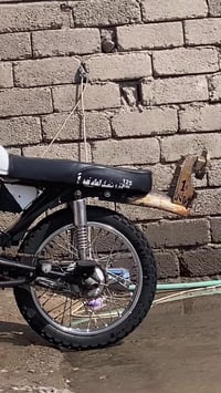 تايجر • ٢٠١٨ • شرط الثالث