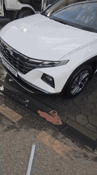 خليجي • ٢٠٢٤ • كفالة عامة