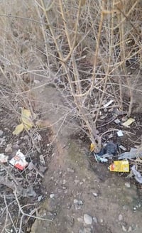 شتل رمان • مترين وفوك • عوينات