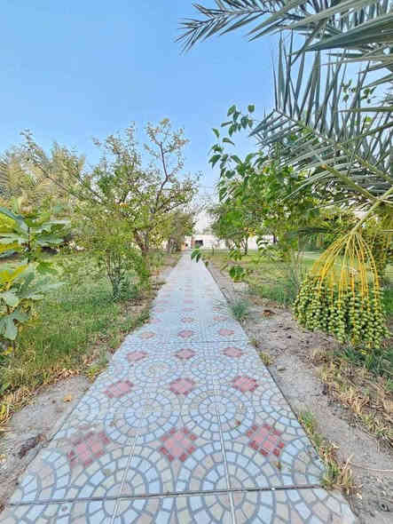 شاليه للبيع – على شط العرب مباشرة

شاليه مميز للبيع بمساحة 2000 متر، طابو ملك صرف سهم مع تحويل مباشر باسم المشتري.

الموقع: البصرة – أبي الخصيب
المميزات:

إطلالة مباشرة على شط العرب

موقع هادئ ومناسب للاستجمام

أوراق رسمية جاهزة للتحويل

للاستفسار يرجى الاتصال على الرقم:  *********** البصرة
