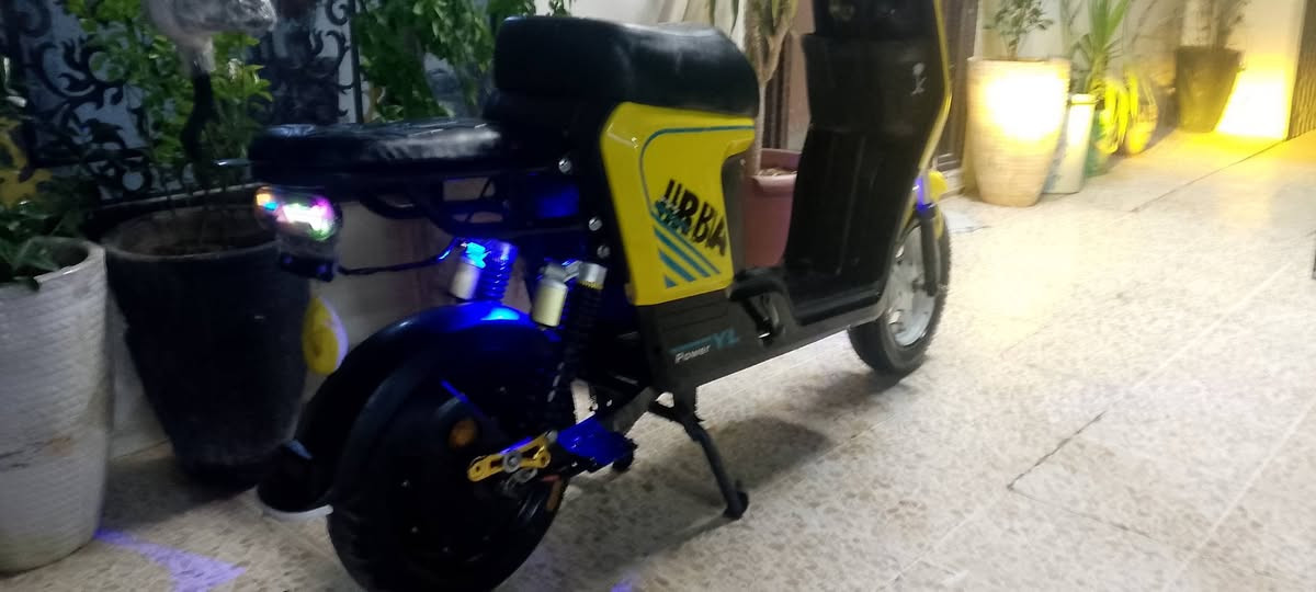 للبيع R9  كله شرط الفحص سعر 425 بي مجال شراي  تعال خاص


**إذا كنت صاحب هذا الإعلان وتريد حذفه لأي سبب، رجاءا أرسل رسالة إلى الدعم الفني**