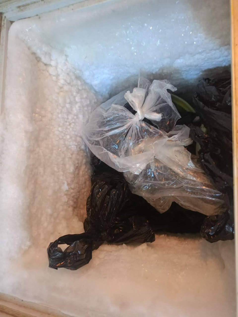 غراض للبيع


**إذا كنت صاحب هذا الإعلان وتريد حذفه لأي سبب، رجاءا أرسل رسالة إلى الدعم الفني**