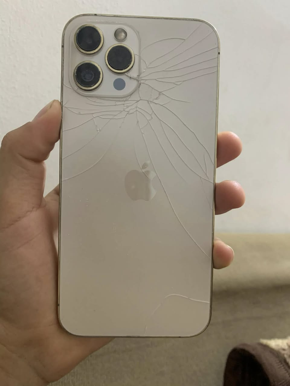 سلام عليكم ايفون 12 برو ماكس معروض كدامكم فقط كامرته الاماميه مغوشه سعر 200 وبي مجال شي بسيط واتساب ***********
