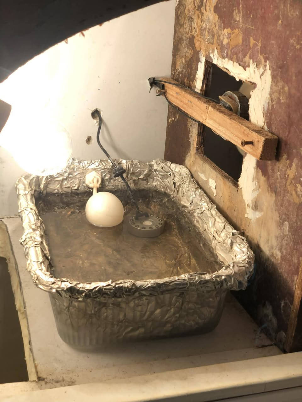 السلام عليكم فقاسة للبيع كفر ثلاجة   اجهزة كلها من ابو ادريس  تلزم ٢٥٠ بيظة وقابلة للزيادة السعر ٨٠ الف  مكاني ديالى مجمع حمرين
***********
