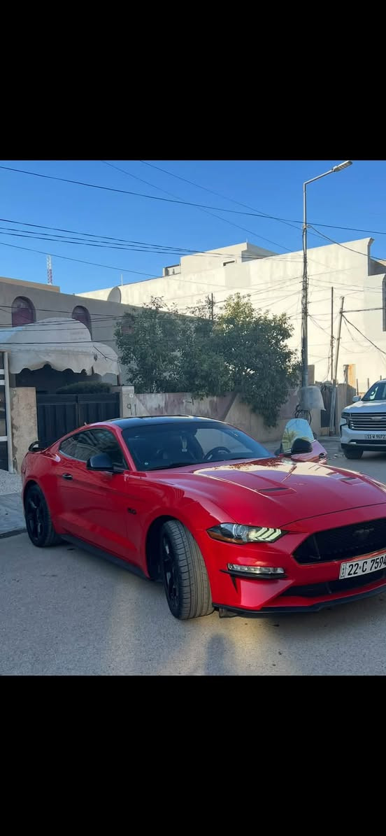 للبيع: فورد موستنك GT Premium موديل 2019 (خليجي) مكفوله كفالة عامة من كلشي حتى من شخط

* موديل: 2019
* الفئة: GT Premium
* وارد خليجي
* ممشى: 42,000 كم فقط
* محرك 5.0 لتر V8 تنفس طبيعي
* قوة 460 حصان
* ناقل حركة أوتوماتيك 10 سرعات
* دفع خلفي (RWD)
    (خمس وضعيات قياده)
     (اكتف اكزوز)
المواصفات:

* عدادات رقمية دجيتال (Digital Cluster)
* داخلية Premium مع إنارة داخلية متعددة الألوان (Ambient Lighting)
* مقاعد جلد كهربائية مع تدفئة وتبريد
* شاشة SYNC 3 مع Apple CarPlay وAndroid Auto
* تشغيل ذكي (بصمة) مع مفتاح ذكي
* كاميرا خلفية مع حساسات
* اختيار أوضاع القيادة (Normal / Sport+ / Track / Drag / Snow-Wet)
* إضاءة LED أمامية وخلفية
* جنوط أصلية

السيارة نظيفة جداً، ممشاها قليل، والفحص خير دليل.
للاستفسار والمعاينة التواصل على الواتساب او اتصل على رقم 
***********
