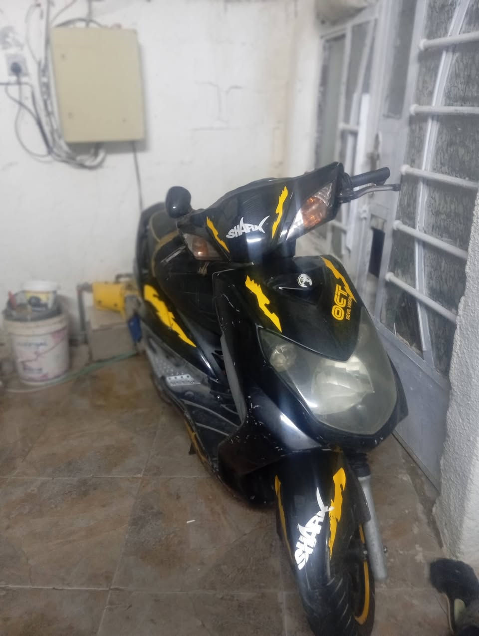 سلام عليكم سكنس فحل مزوده كلجات ومكينه وصالنصه رياضيه وكلجات رياضي كهربائيات كلها شغاله كفرات موشمه دراجه نكره بكل وقت بيه يدات ام اشاير وسكن بك لايت اسود دراجه شلعه ومعدل تشك لكاع مراوس حسب إقناعه سعر675وبيه مجال مكاني بغداد لشعله رقم ***********
