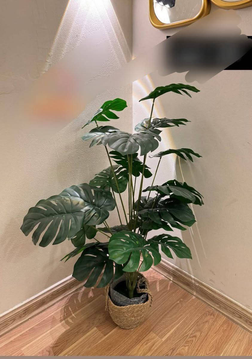 سنادين زينة من شركة الودق للأثاث المنزلي


**إذا كنت صاحب هذا الإعلان وتريد حذفه لأي سبب، رجاءا أرسل رسالة إلى الدعم الفني**