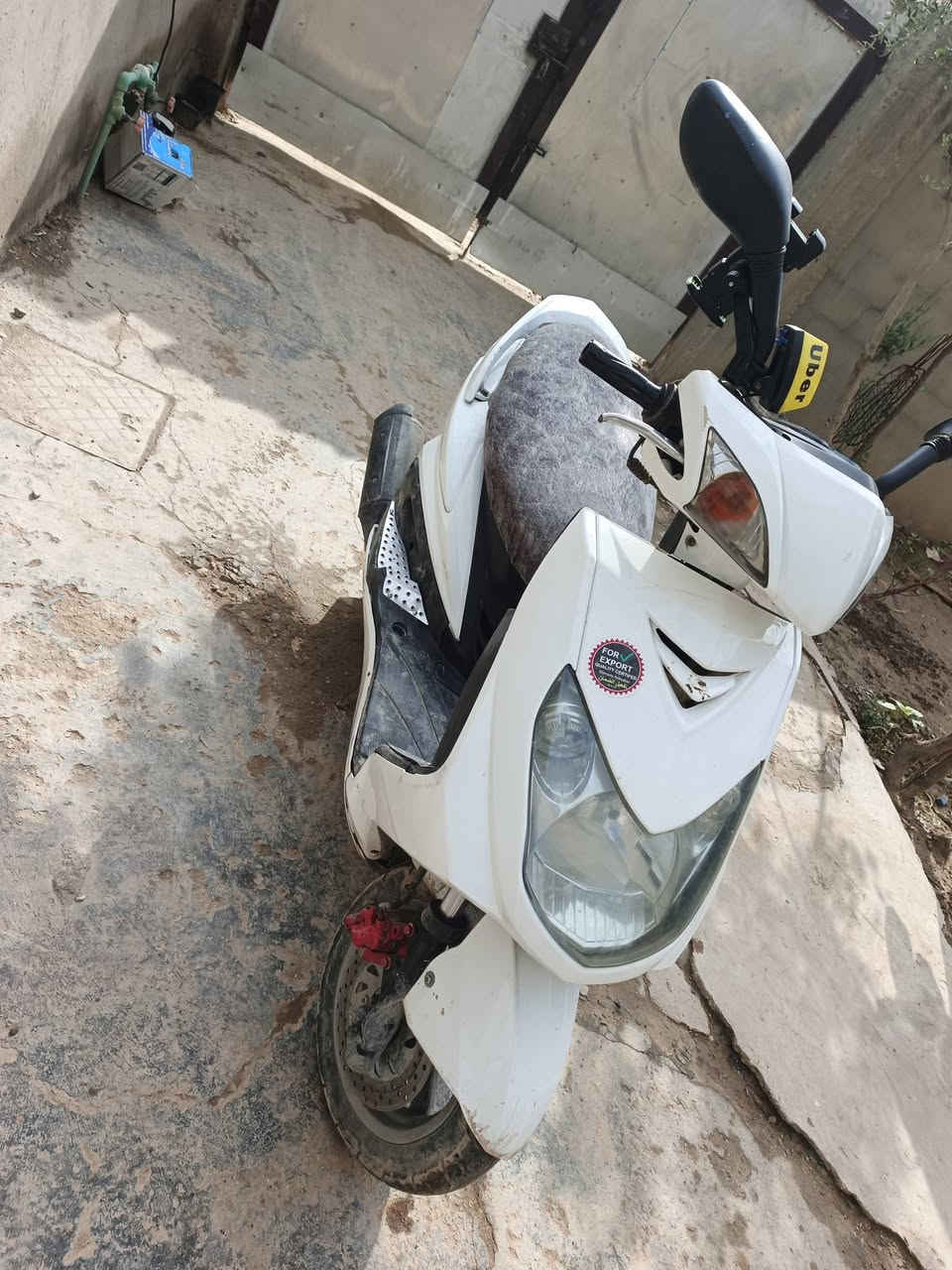 سلام وعليكم سكنس فحل للبيع شغاله نكره بكل وكت اشاير دبل اشاره كلهه شغالي *********** المكان بغداد محموديه
