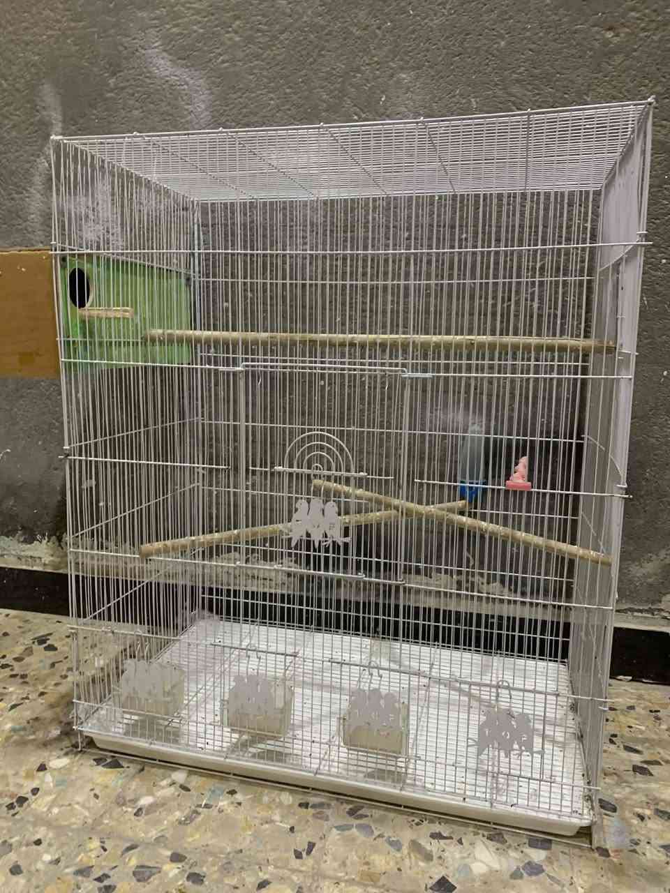 السلام عليكم  جديد قفص للبيع هوه ومعالفه وخليه كوكتيل ب30


**إذا كنت صاحب هذا الإعلان وتريد حذفه لأي سبب، رجاءا أرسل رسالة إلى الدعم الفني**