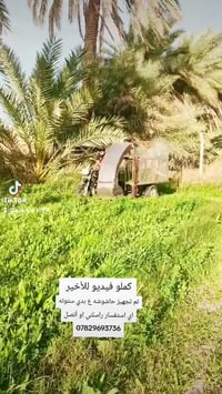 حاشوشه • مصنوعة • حله ابي غرق