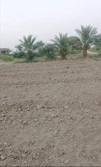 يوجد قطع سعر ١٠ الوحده قرب جامع كرطان الكبير ٠٧٧٠٤٧٧٧٤١٧ ٠٧٨٨٦٩٠٦٩٤٦ م...