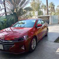 النترا • ٢٠١٩ • وارد أمريكي