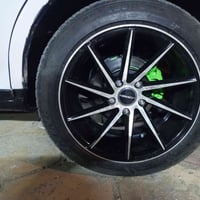 ويل رياضي • مقاس 17 • القرنة الثغر