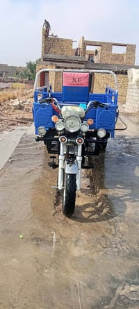 ستوته • ٢٠٢٣ • دوانيه دغاره