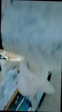 دراجه لبيع موديل 24 كامله مكمله دراجه حلوه ونضيفه سعر 650وبيهه مجال 📞0...