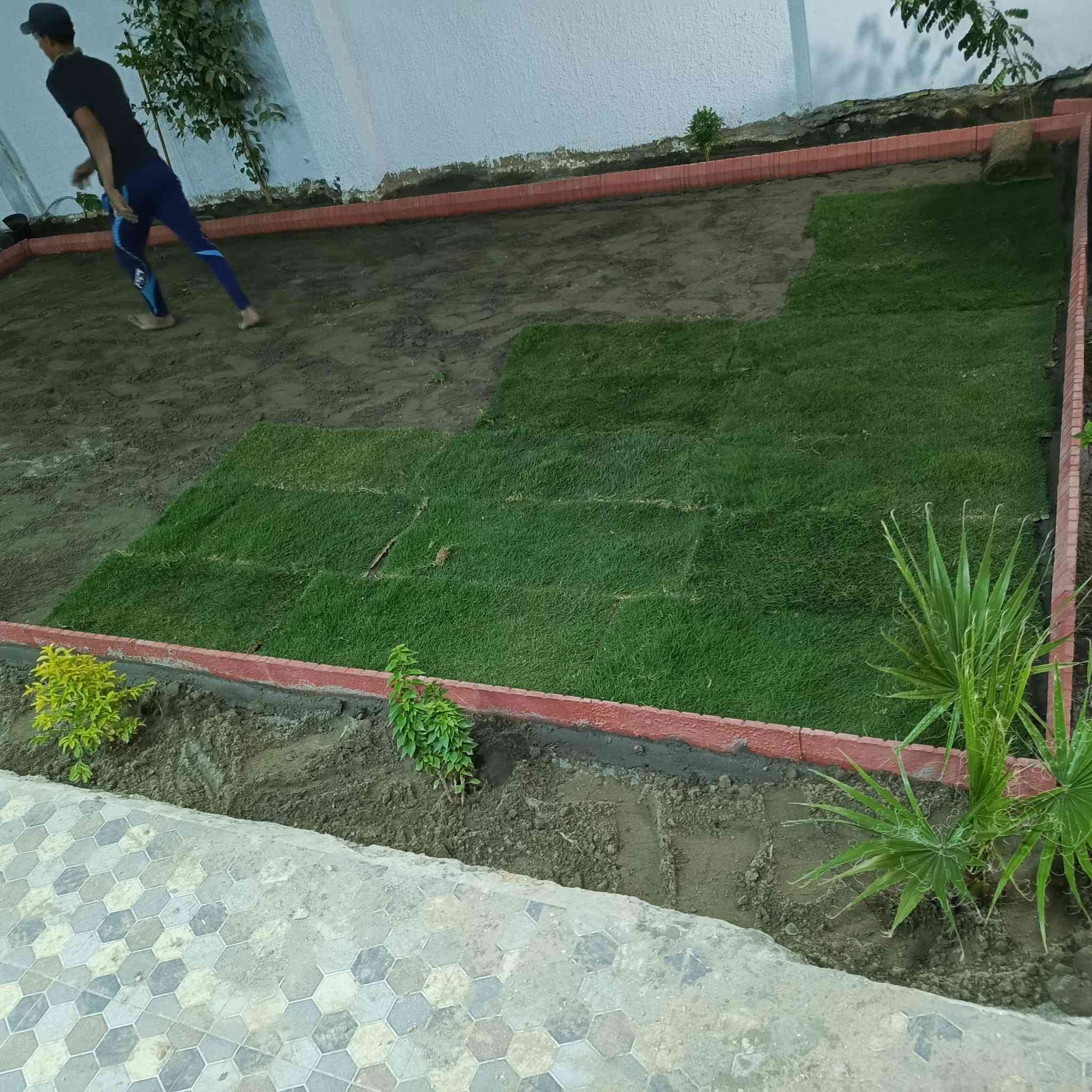 اليوم بتاريخ 2026/15رمضان
تم نجاز حديقه في حي الصحه
تفاصيل العمل👇
1حفر الحديقه بعمق 60سم وستبدال التربه بتربه مفحوصه مختبر.
2عمل الاين فاصل بين الاشجار والثيل
3فرش الحديقه بلكامل ثيل انكليزي دائم الخظار
4تشجير الحديقه حسب الطلب
#لعمل_كل مايخص الحدائق اتصل بلرقم 
*********** او مراسله وتس اب
