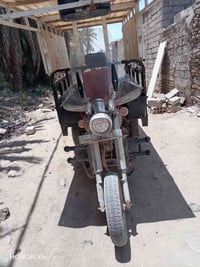 ستوته • كلك • سعر خاص