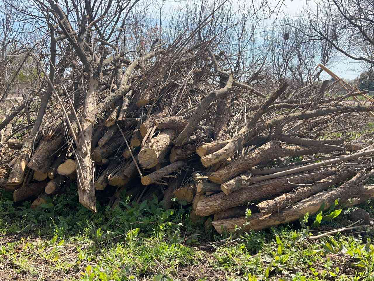 السلام عليكم متوفر خشب مال شوي
***********
