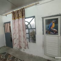 ميسان زراعي • ٥٠م • غرفة وصالة