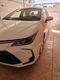 كورلا هايبرد • ٢٠٢٤ • تكريت