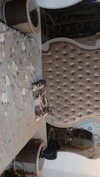 غرفة نوم تركية • مستعملة • ٨ قطع