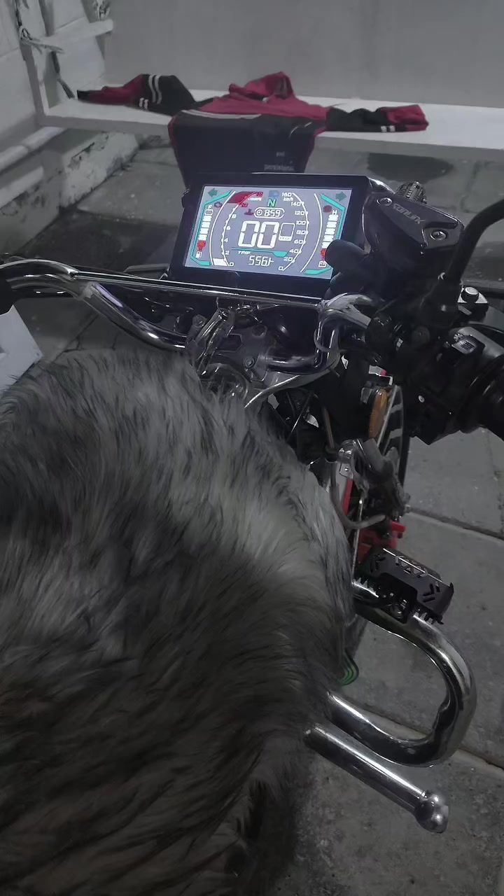 سلام عليكم دراجه سونك 25 نضافه خير من الله كهربائيات  ومحرك خير من الله الدراجه بيه منفيست اوراق  الدراجه مالت بيت يعني جنيه  
***********
