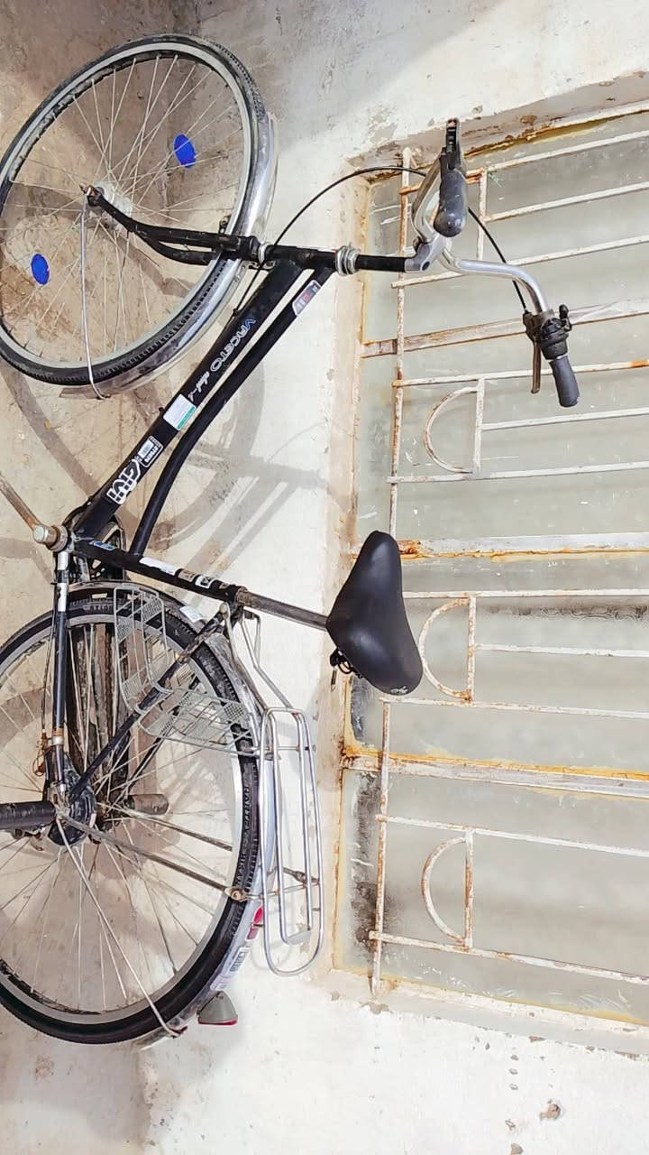 سلام عليكم بايسكل حجم 27كله شغال بايسكل ينباع على حطته كلشي ما نشيل منه  سعره مناسب سعر خاص وبل خدمه مكاني مغربه


**إذا كنت صاحب هذا الإعلان وتريد حذفه لأي سبب، رجاءا أرسل رسالة إلى الدعم الفني**