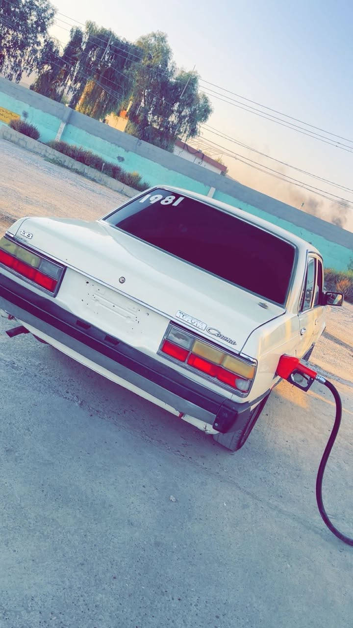 ١٩٨١😍🤍🔥


**إذا كنت صاحب هذا الإعلان وتريد حذفه لأي سبب، رجاءا أرسل رسالة إلى الدعم الفني**