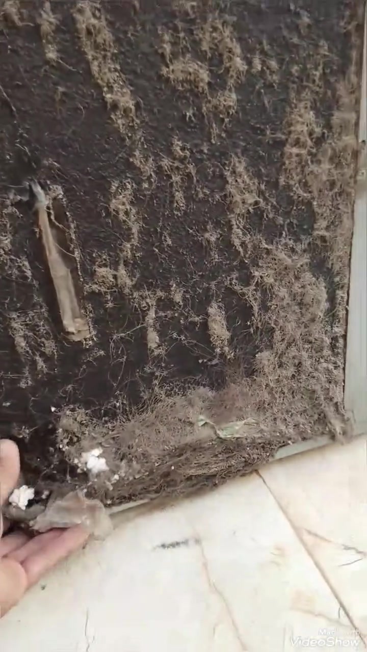 غسل سبلت كنتوري الى احد زبائننا المحترمين
مستعدون لتنصيب وصيانه وغسل جميع السبالت 
نعمل بجميع مناطق الحله 
نشتري السبالت العاطله 
بأدارة الاخوين 
*********** اياد
*********** محمد
