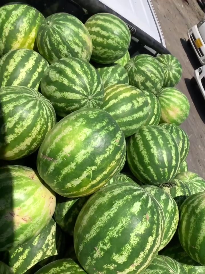 وصل والحمدالله ركي رقم واحد
رقم توصيل ‭***********‬
